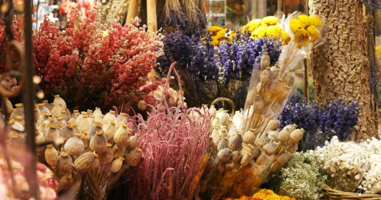 como fazer um buquê de flores secas: imagens de várias flores