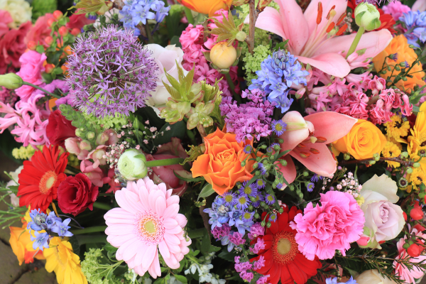 Significado das Cores das Flores: Guia Completo
