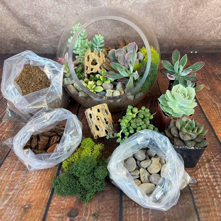 Terrários e Arranjos de Suculentas: