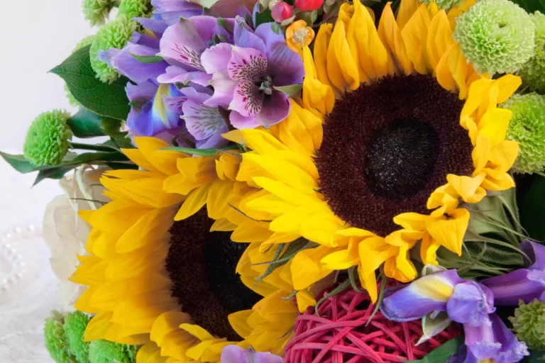 Flores da amizade