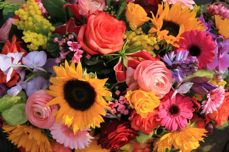 Várias flores simbolizando o significado das flores