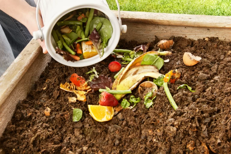 Compostagem e Adubo Orgânico Caseiro