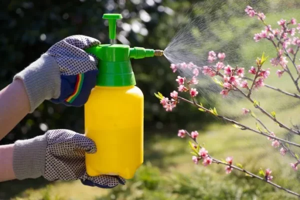 Como Proteger as Plantas Contra Pragas Naturalmente
