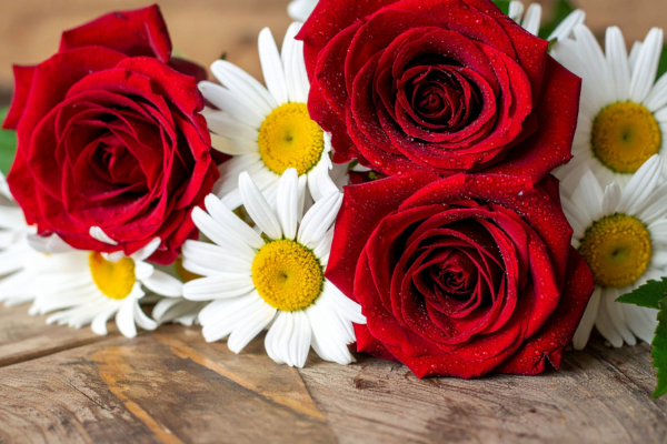 Linguagem das Flores, o Significado Secreto por Trás de Cada Espécie