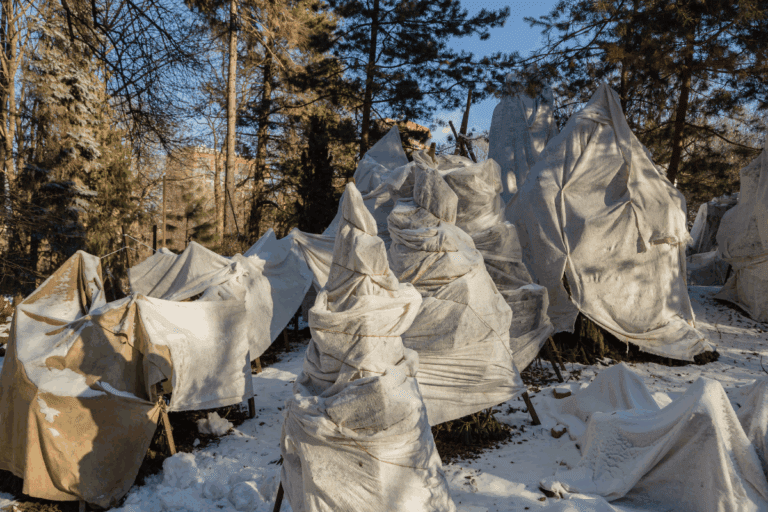 Como proteger as plantas no inverno