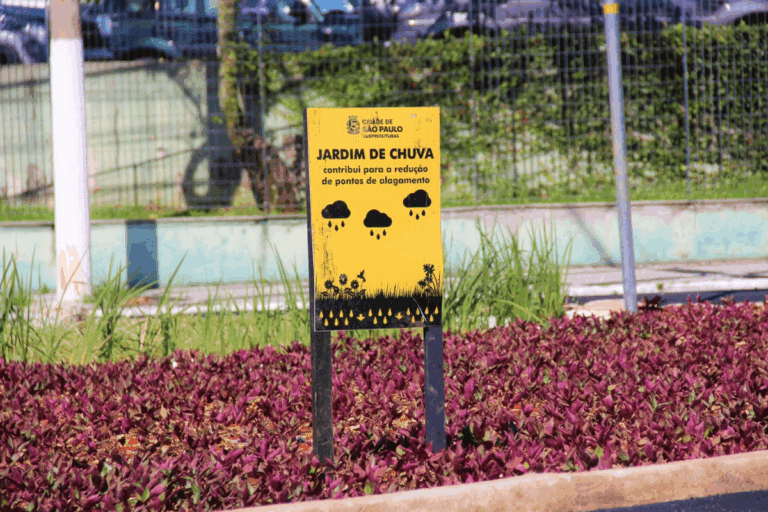 jardins de chuva