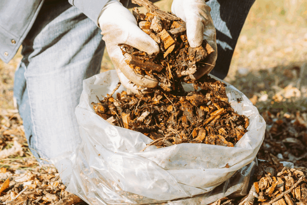cobertura morta para plantas