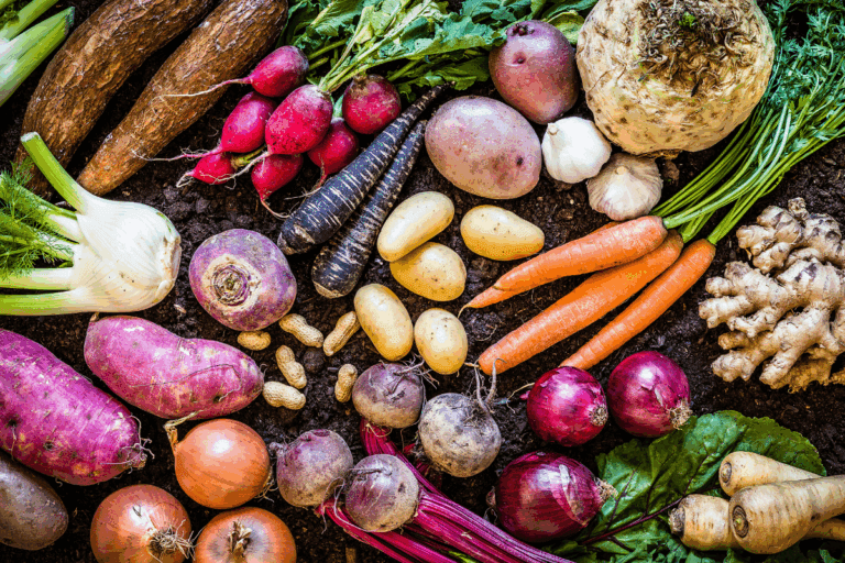 cultivo de raízes e tubérculos