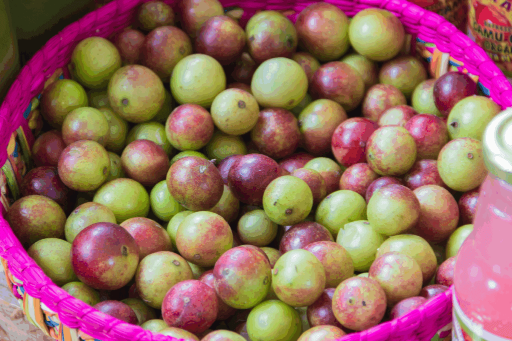 bacia cheia de camu camu