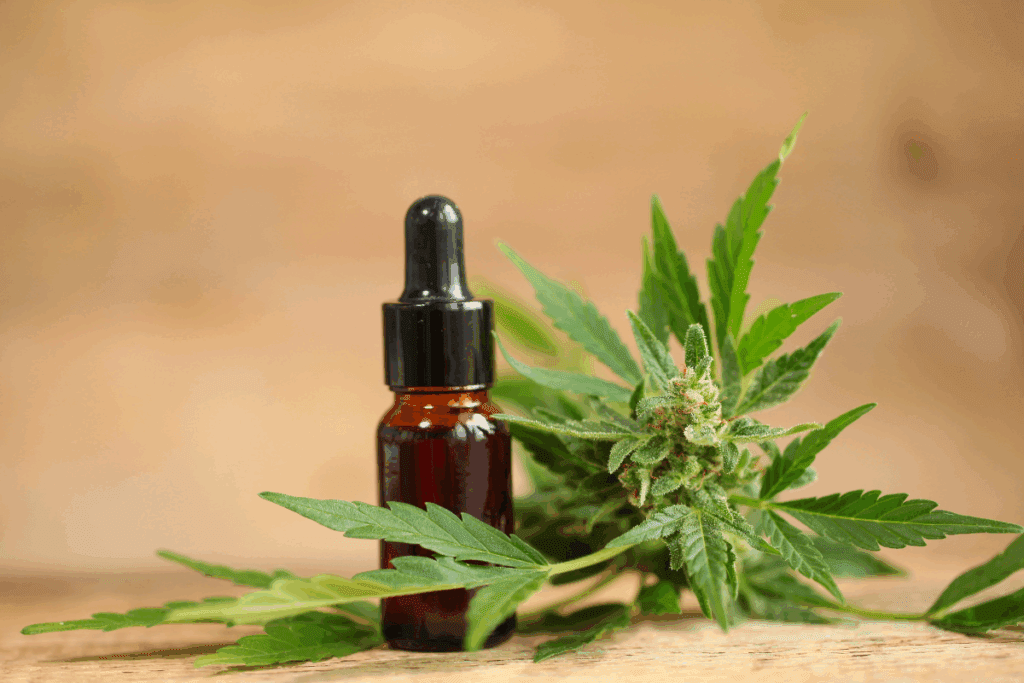 cannabis medicinal