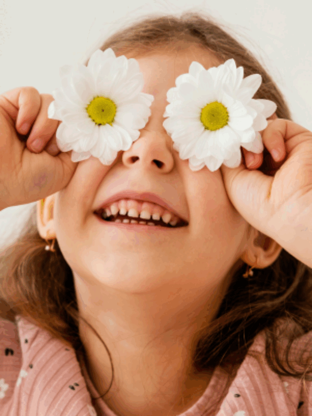 A verdade oculta na linguagem das flores que ninguém contou