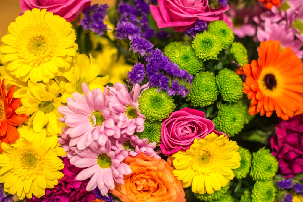 Flores para plantar em setembro: 7 espécies que florescem até o fim do ano