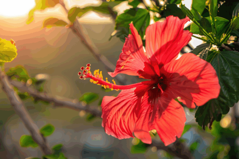 Surpreenda-se com o hibisco — a flor vibrante que encanta polinizadores