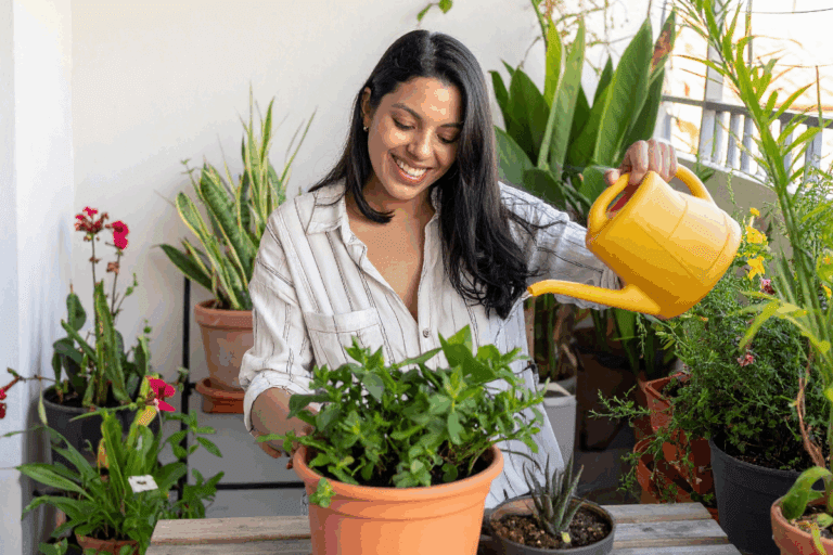 Regar plantas de manhã ou à noite? Veja o melhor horário para seu jardim!